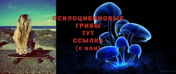 а пвп мука Белокуриха