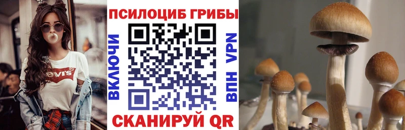 где купить наркоту Надым Псилоцибиновые грибы Cubensis